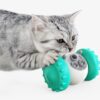 Cat And Dog Toys Slow Food Interactive Balance Car Multifunctional Fun Development Smart Pet Feeding Dog Toy Car Pets Products - Image 5